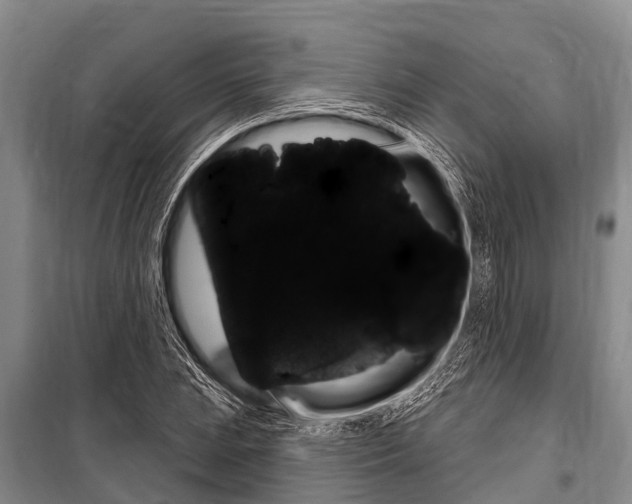 X0000101151023200806270755