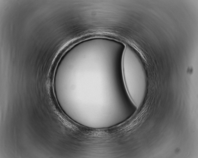 X0000101151024200806270755