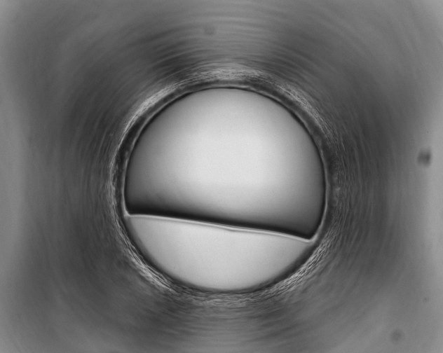 X0000101151026200806270755