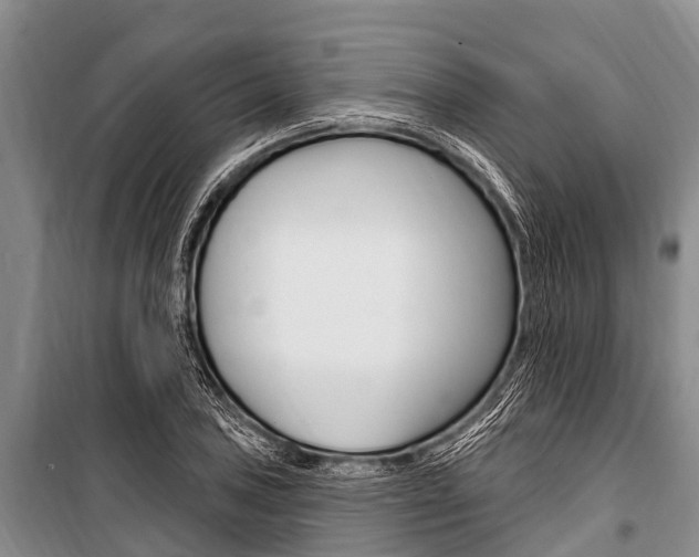 X0000101151027200806270755