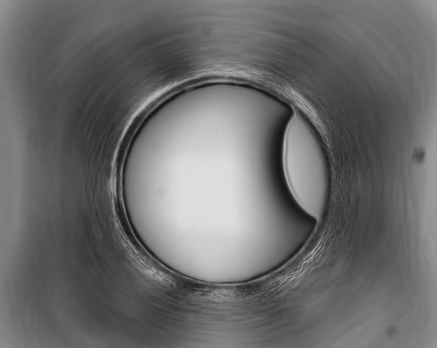 X0000101151028200806270755
