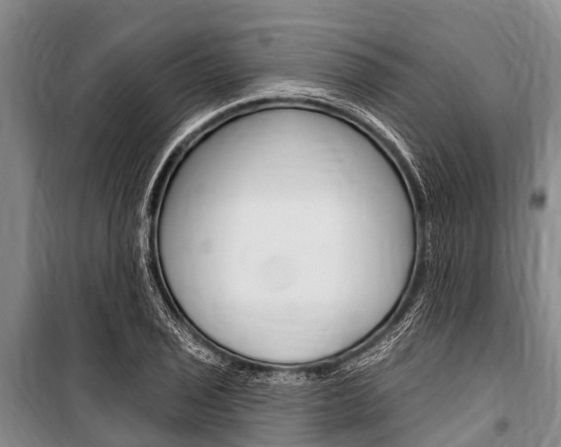 X0000101151029200806270755