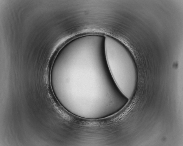 X0000101151030200806270755