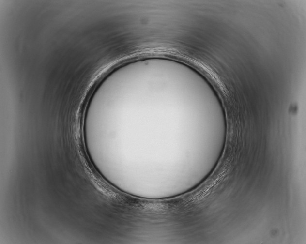 X0000101151031200806270755