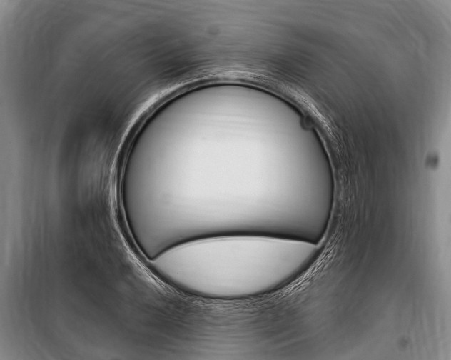 X0000101151032200806270755