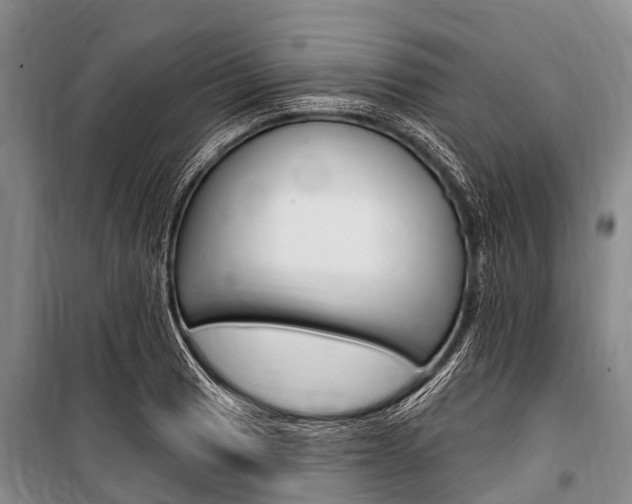 X0000101151033200806270755
