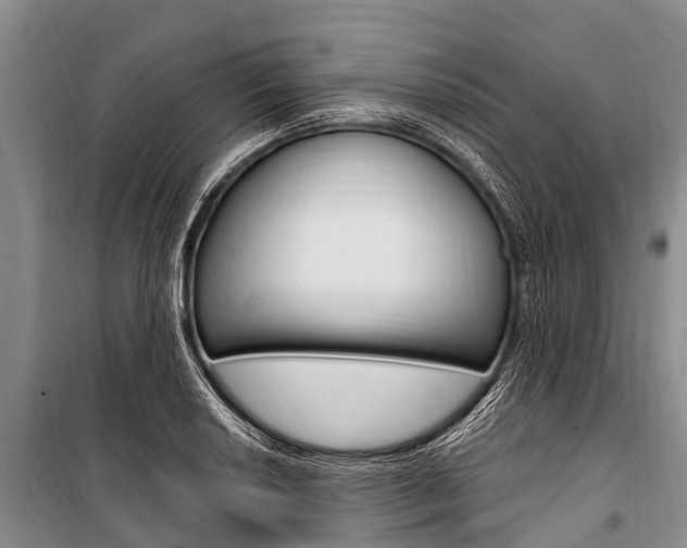 X0000101151034200806270755