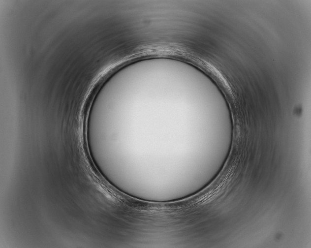 X0000101151035200806270755