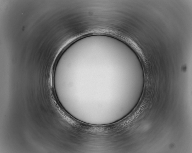 X0000101151036200806270755