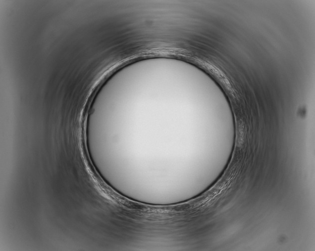 X0000101151039200806270755