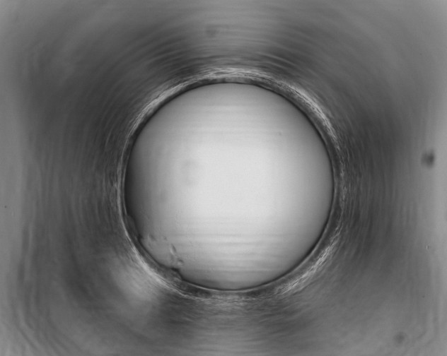 X0000101151041200806270755