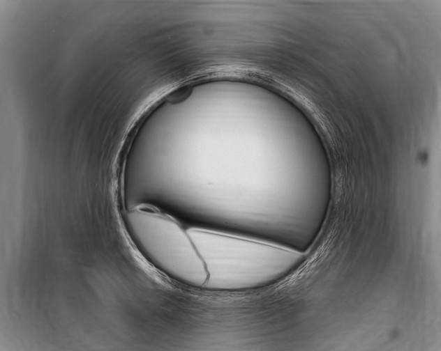 X0000101151042200806270755