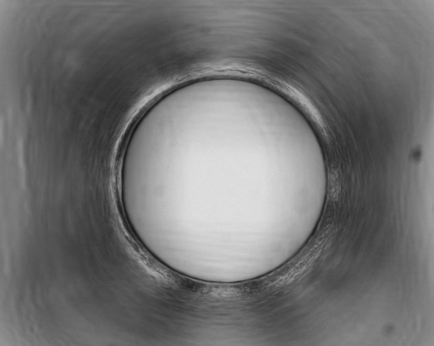 X0000101151043200806270755