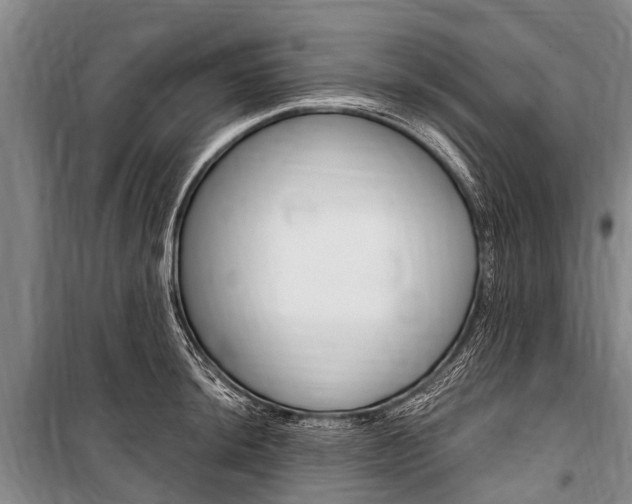 X0000101151044200806270755