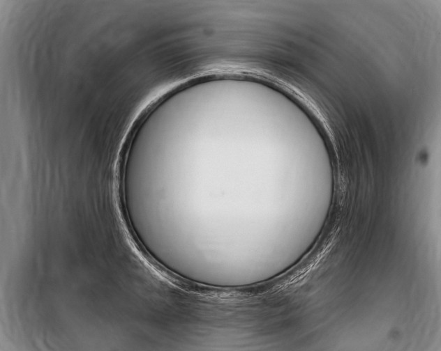X0000101151045200806270755