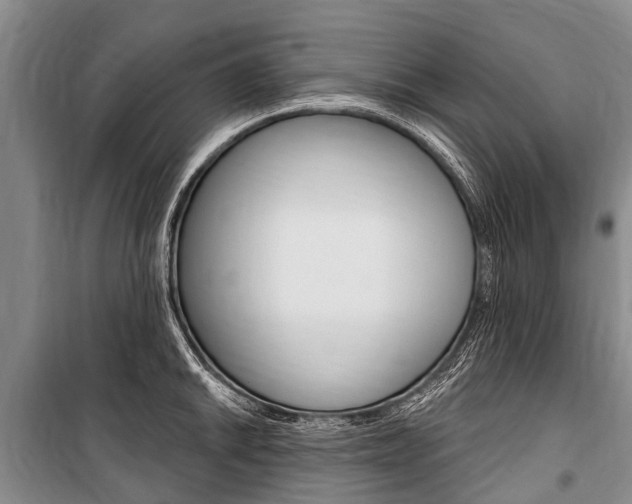 X0000101151046200806270755