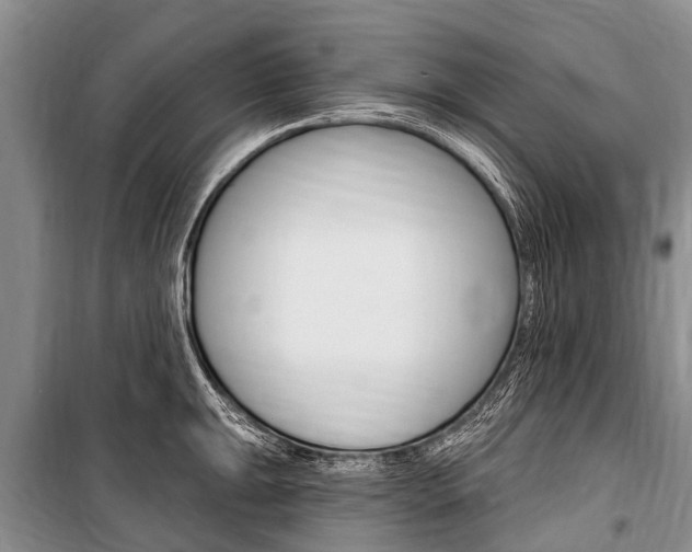 X0000101151047200806270755