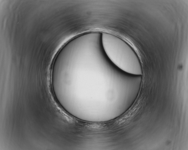X0000101151048200806270755