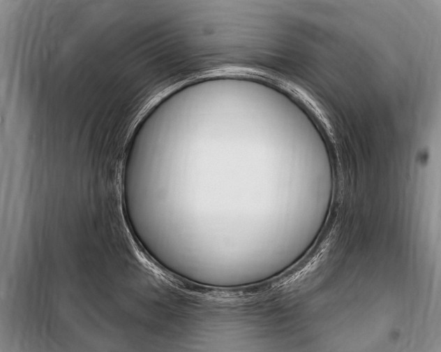 X0000101151049200806270755