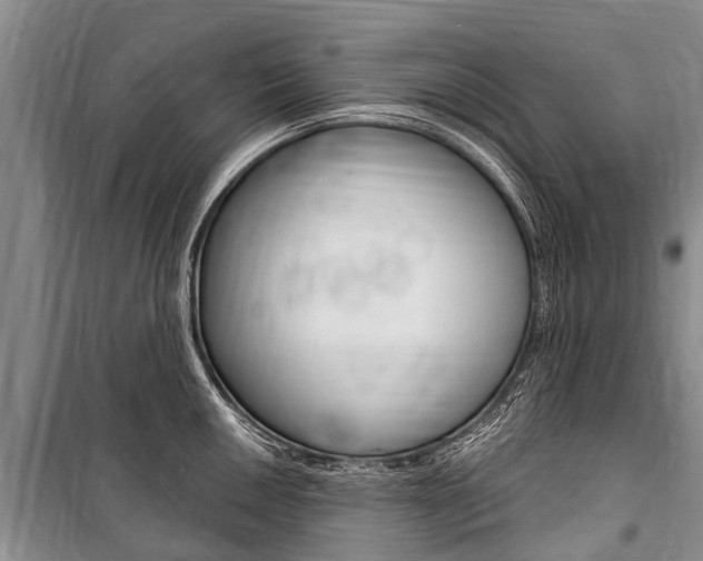 X0000101151050200806270755