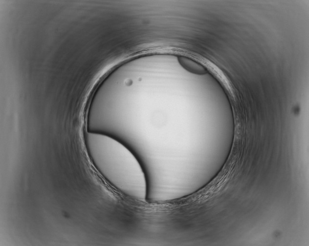 X0000101151051200806270755