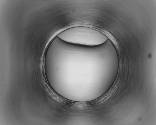 X0000101151052200806270755