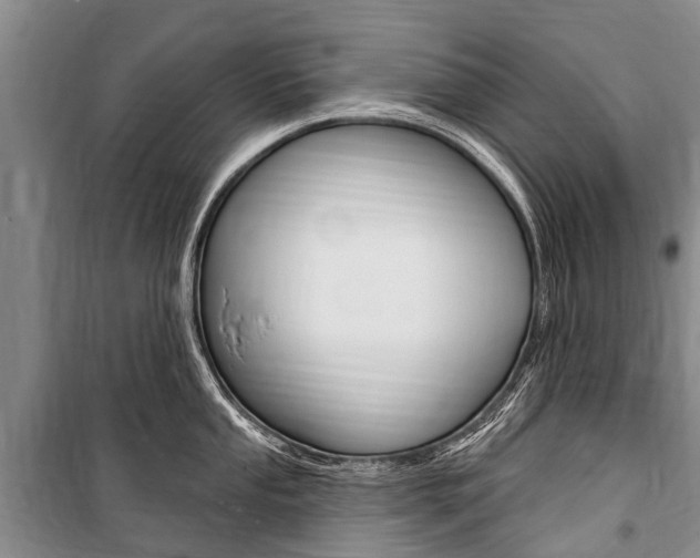 X0000101151053200806270755