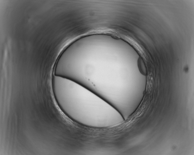 X0000101151055200806270755
