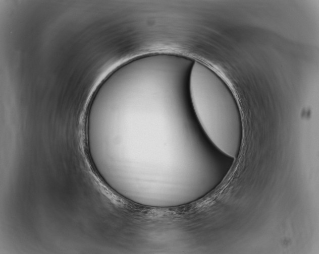 X0000101151056200806270755
