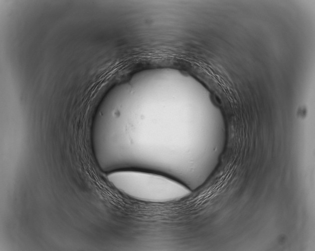 X0000101151057200806270754