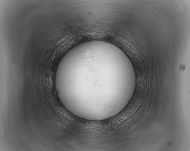 X0000101151058200806270754