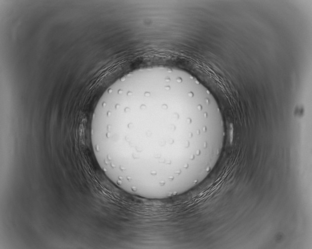 X0000101151059200806270754