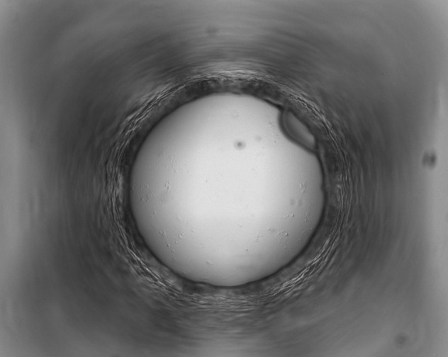 X0000101151061200806270754
