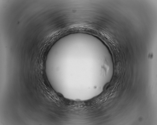 X0000101151062200806270754