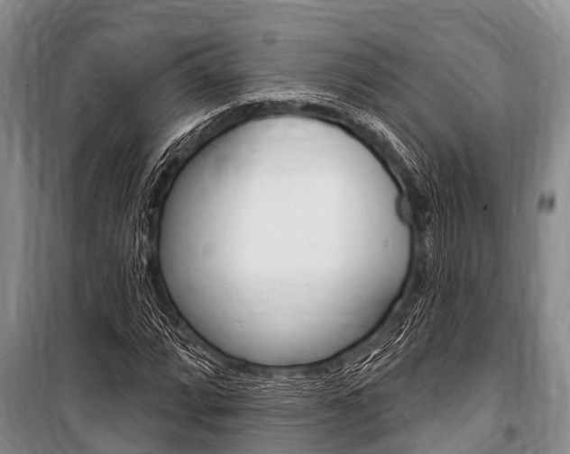X0000101151064200806270754