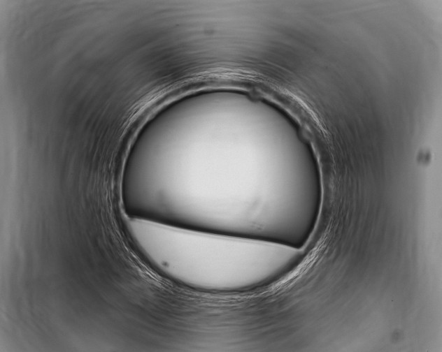 X0000101151065200806270754