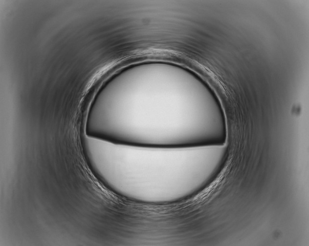 X0000101151066200806270754