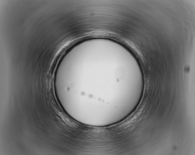 X0000101151067200806270754
