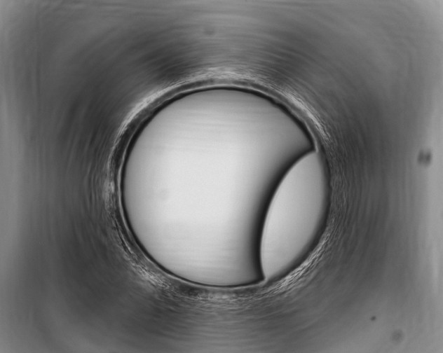 X0000101151070200806270754