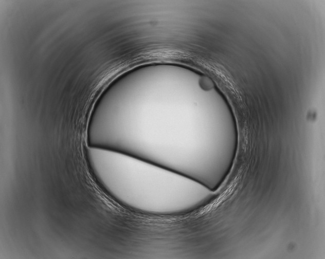 X0000101151073200806270754