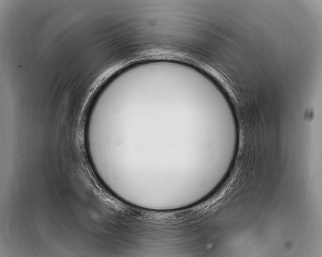 X0000101151074200806270754