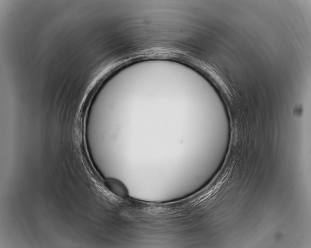 X0000101151075200806270754