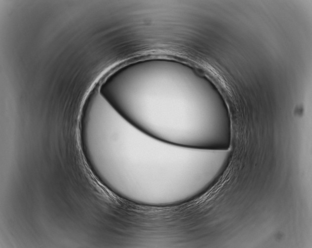 X0000101151076200806270754