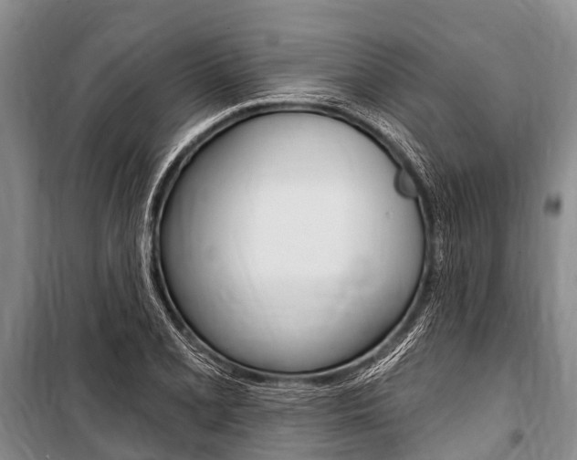 X0000101151077200806270754