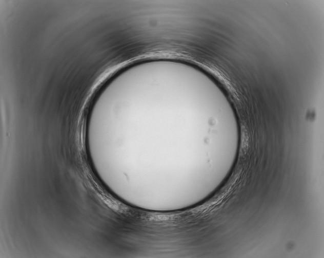 X0000101151078200806270754