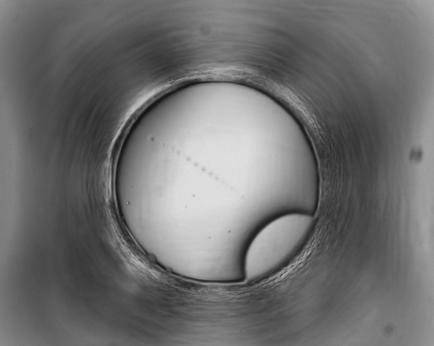 X0000101151079200806270754