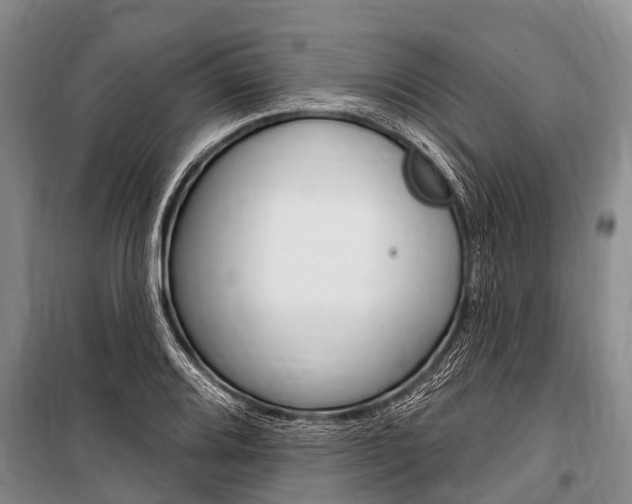 X0000101151080200806270754