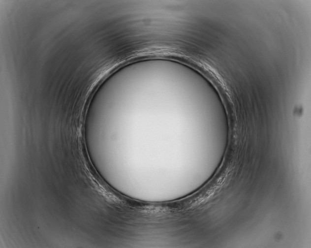 X0000101151081200806270754