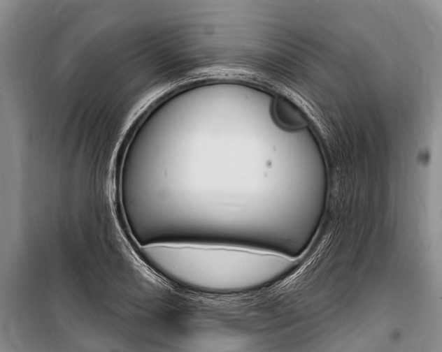 X0000101151082200806270754