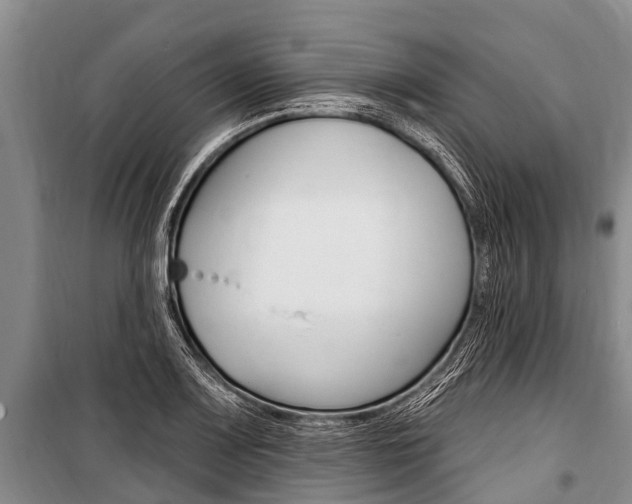 X0000101151083200806270754